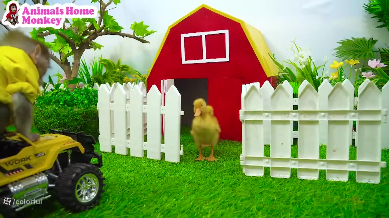 ماجراجویی‌های میمون کوچولو: بازی و یادگیری در دنیای رنگارنگ