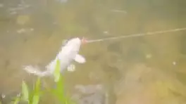 نخستین قسمت کارتون میمون کوچولو: دنیای شگفت‌انگیز او را کشف کنید!