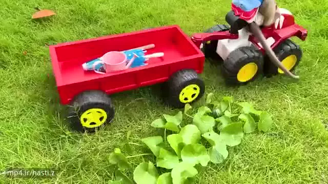 کارتون میمون کوچولو: دنیای شگفت‌انگیز دوستی و ماجراجویی