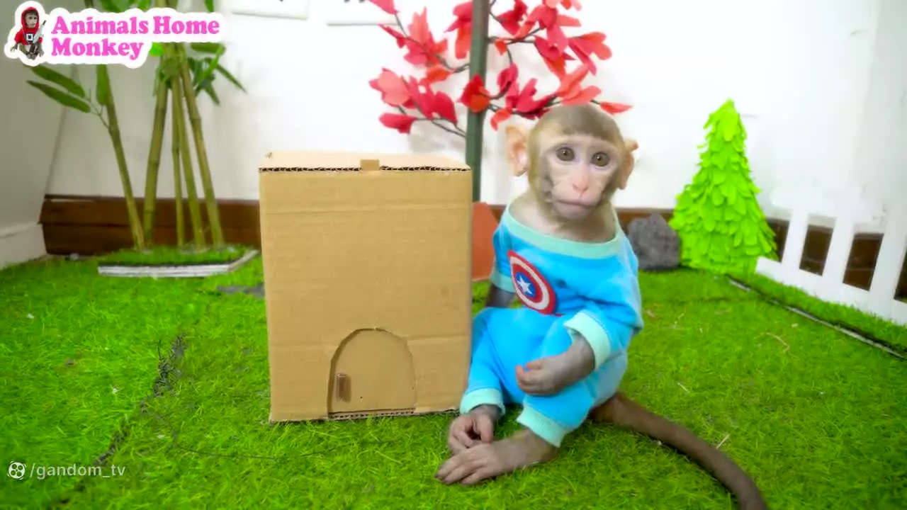 ماجراهای هیجان‌انگیز بچه میمون: کارتون جدیدی که نباید از دست بدهید!