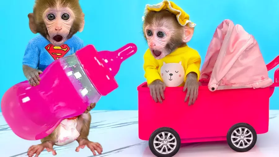 کارتون میمون کوچولو: داستان‌های خنده‌دار و جذاب برای بچه‌ها