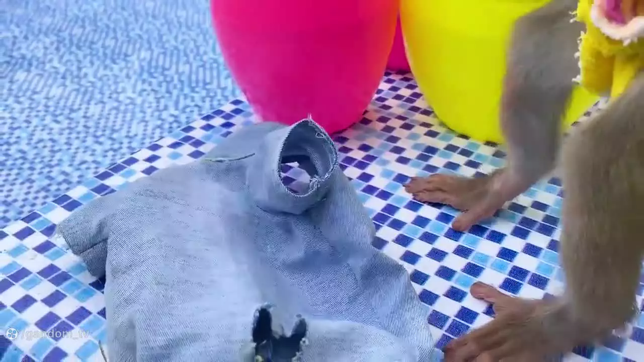 دوست‌داشتنی‌ترین میمون کوچولو: تماشای کارتون بچه میمون