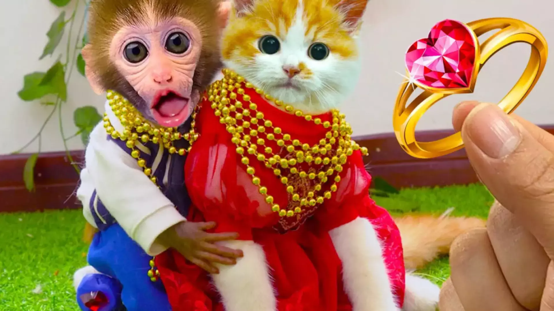 کارتون بچه میمون: داستان‌هایی از بازی و خنده