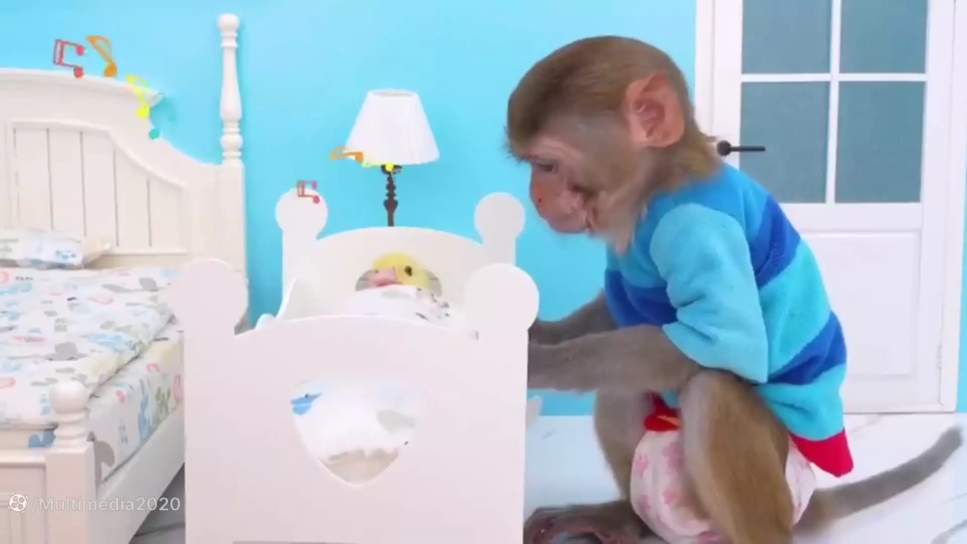 گشت و گذار میمون کوچولو: تجربه‌های جدید و شگفت‌انگیز!