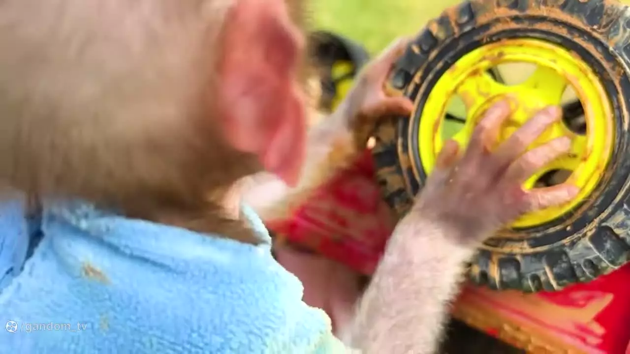 کارتون بچه میمون: لحظاتی شیرین و خنده‌دار برای خانواده