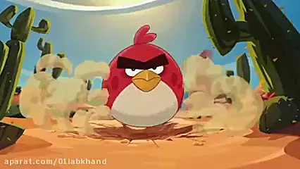 کارتون انگری بردز | پرندگان خشمگین