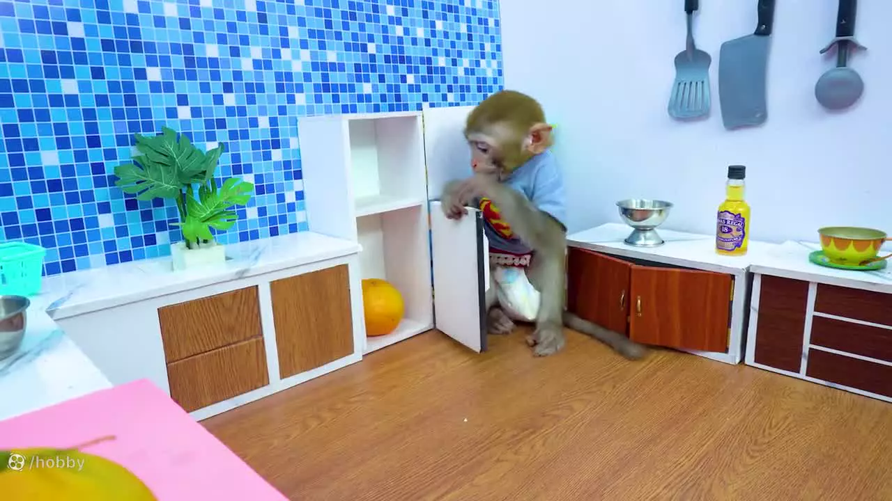 میمون کوچولو بازیگوش: ماجراجویی‌های جدید و جذاب!