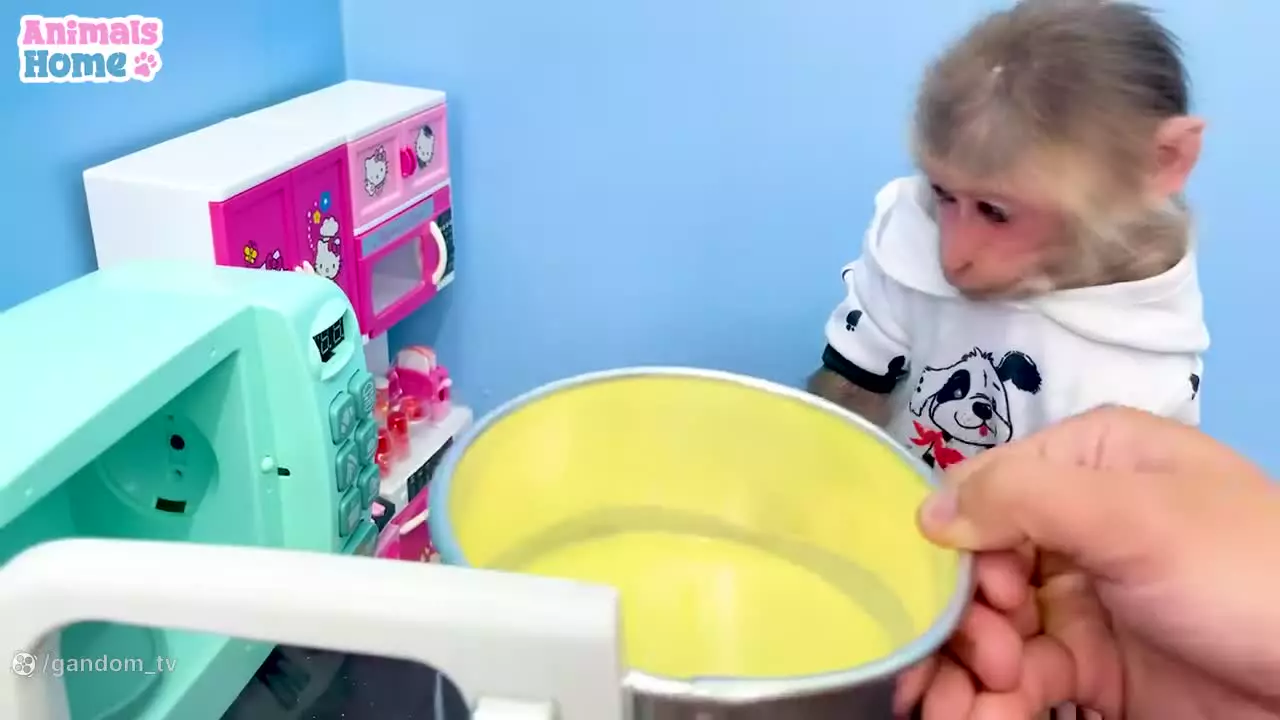 میمون کوچولو و کیک تولد: داستانی از شادی و بازی