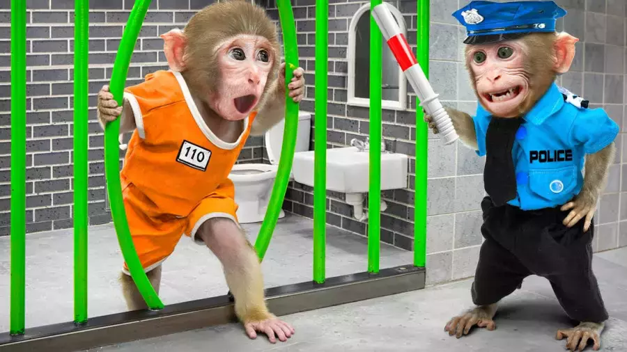 میمون کوچولو: ماجراجویی‌های جدید و بازیگوشی‌های جذاب