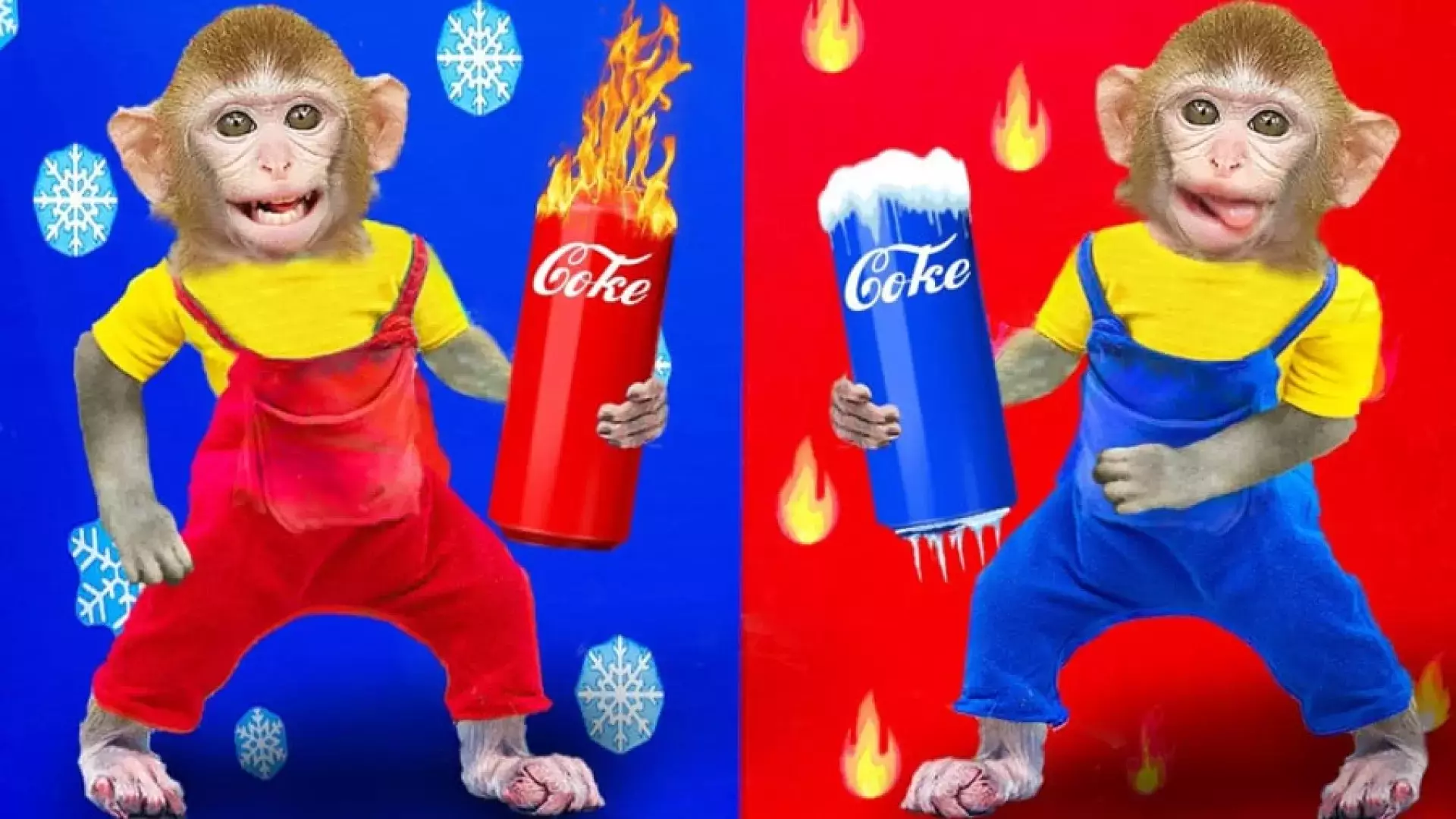 ماجراجویی‌های میمون کوچولو: کشف دنیای جدید!