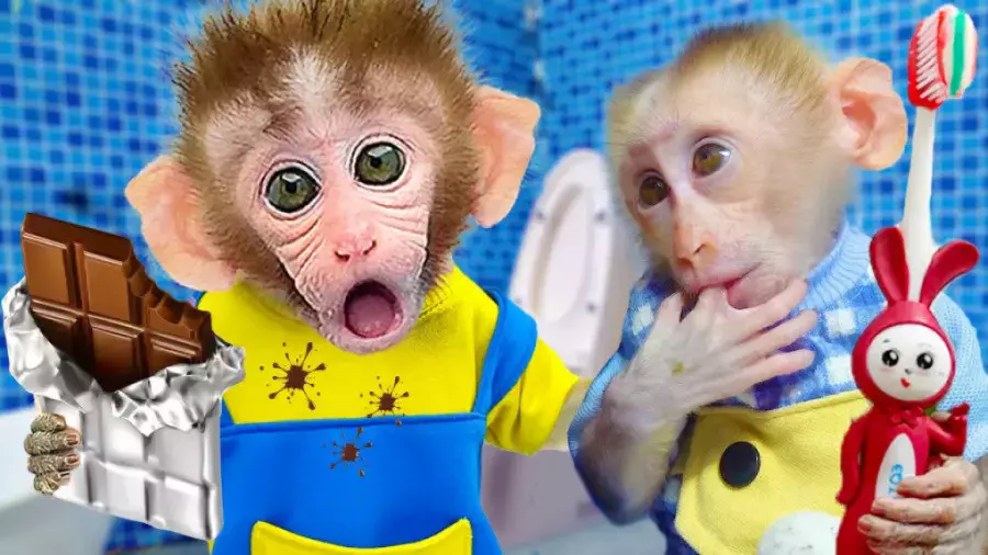 بچه میمون بازیگوش: دنیای شگفت‌انگیز کارتون‌ها