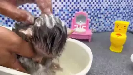 قسمت ۳ کارتون میمون کوچولو: لحظات هیجان‌انگیز و جدید!