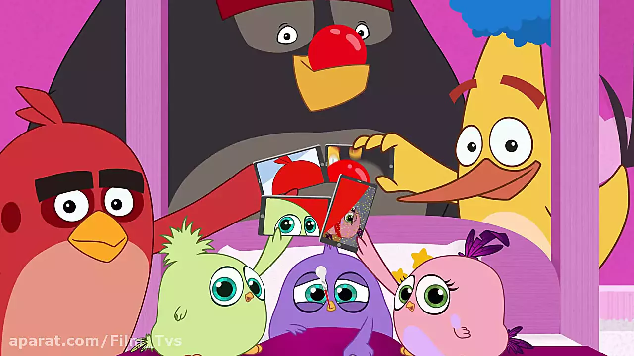 کارتون انگری بردز / سلفی استیک