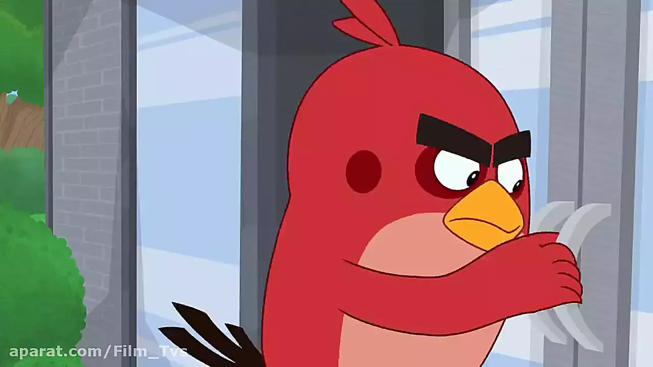 کارتون انگری بردز / دوربین خراب