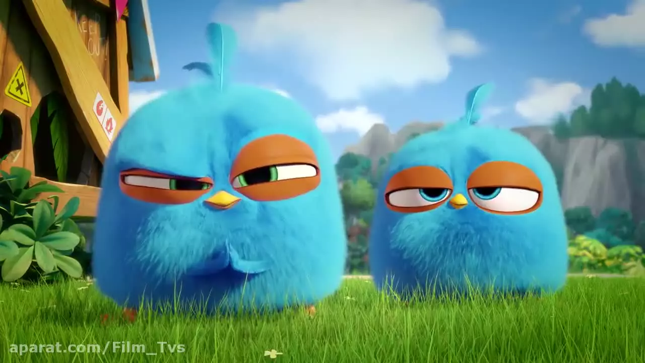 کارتون انگیر بردز / کوکی خوشمزه