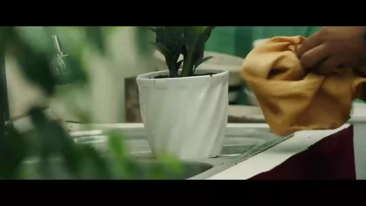 دانلود قسمت اخر شغال ایرانی