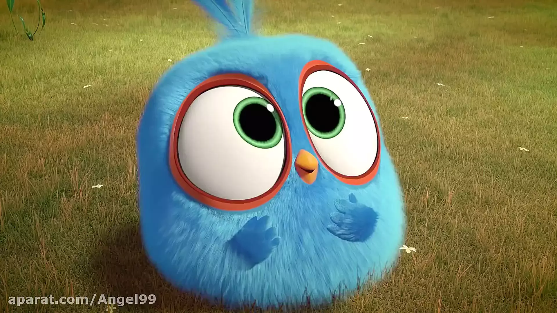 انیمیشن پرندگان خشمگین آبی فصل 1 قسمت 10-1 - کارتون انگری بردز