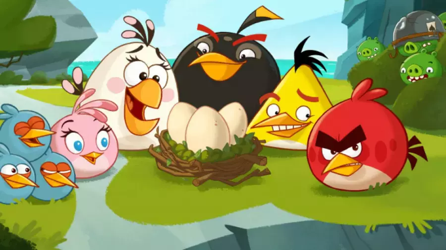 کارتون انگری بردز | Angry Birds