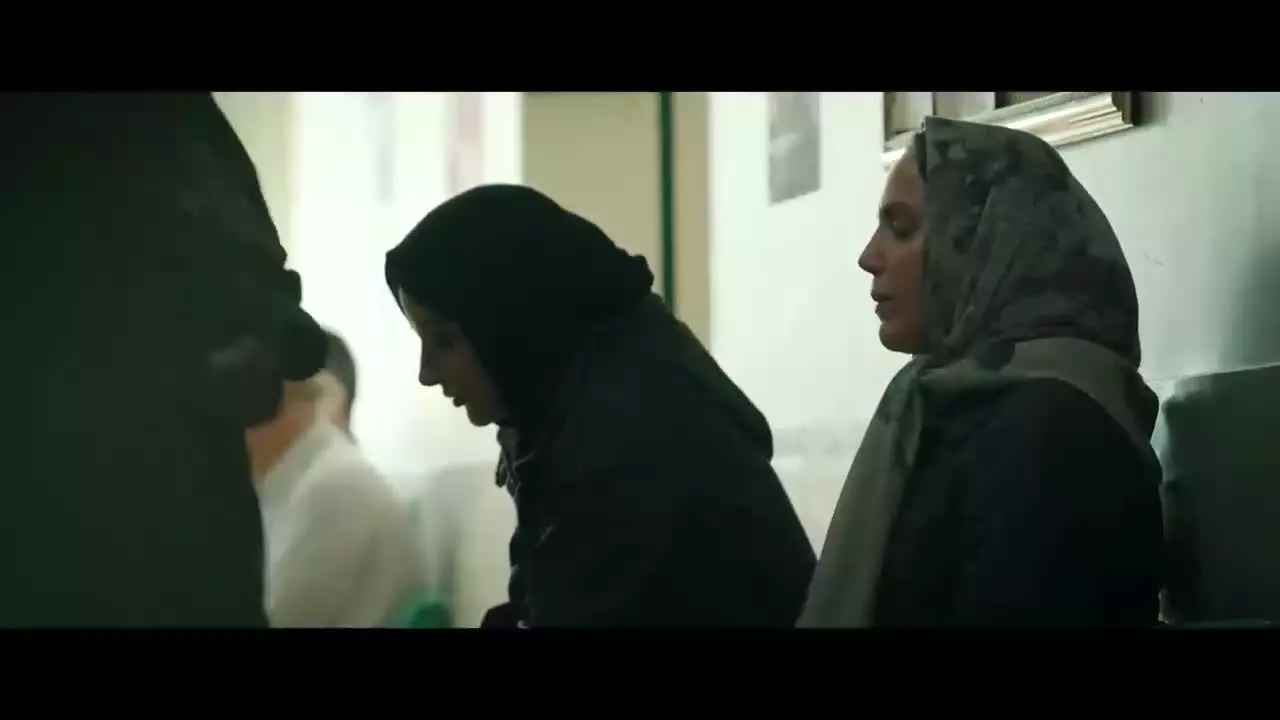 محکوم / شغال / هزار و یک شب / بامداد خمار / مو به مو