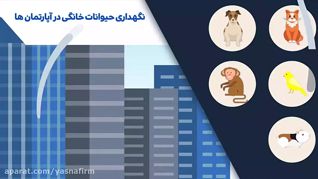 قوانین ضروری برای زندگی با حیوانات خانگی در آپارتمان