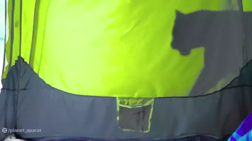 ولاد و نیکی /کارتون ولاد و نیکی //برنامه کودک ولاد و نیکی