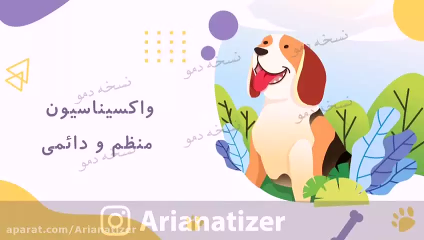 چگونه از حیوانات خانگی خود به بهترین نحو مراقبت کنیم؟