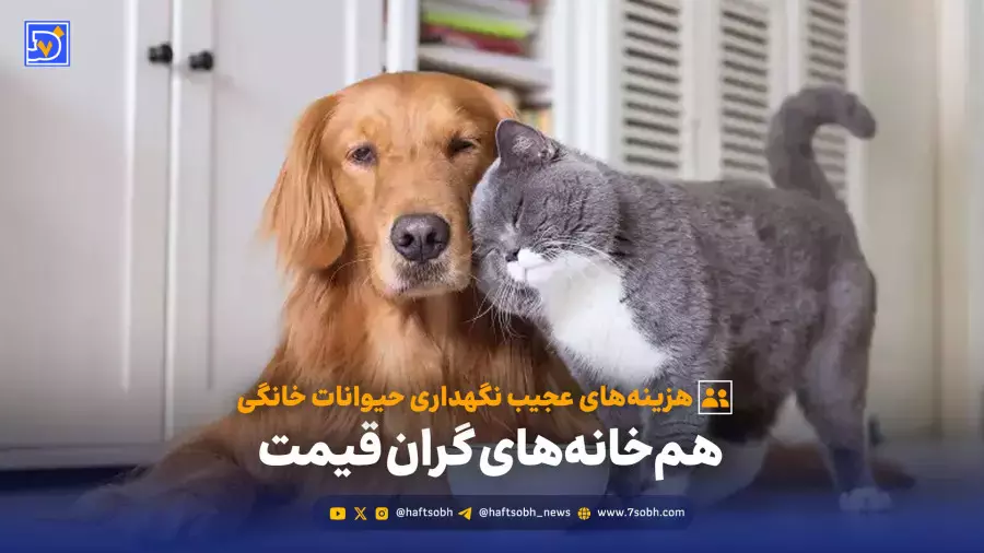 هزینه‌های پنهان نگهداری از حیوانات خانگی را بشناسید!