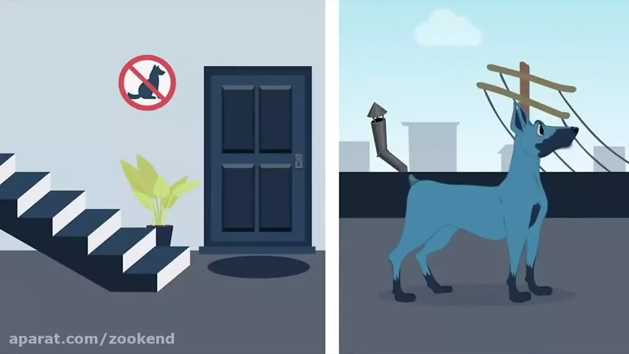 نگهداری از حیوانات خانگی در آپارتمان: نکات ضروری برای زندگی راحت