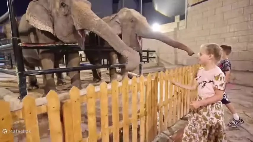 داستان سفر دیانا و روما: لحظاتی فراموش‌نشدنی با خانواده