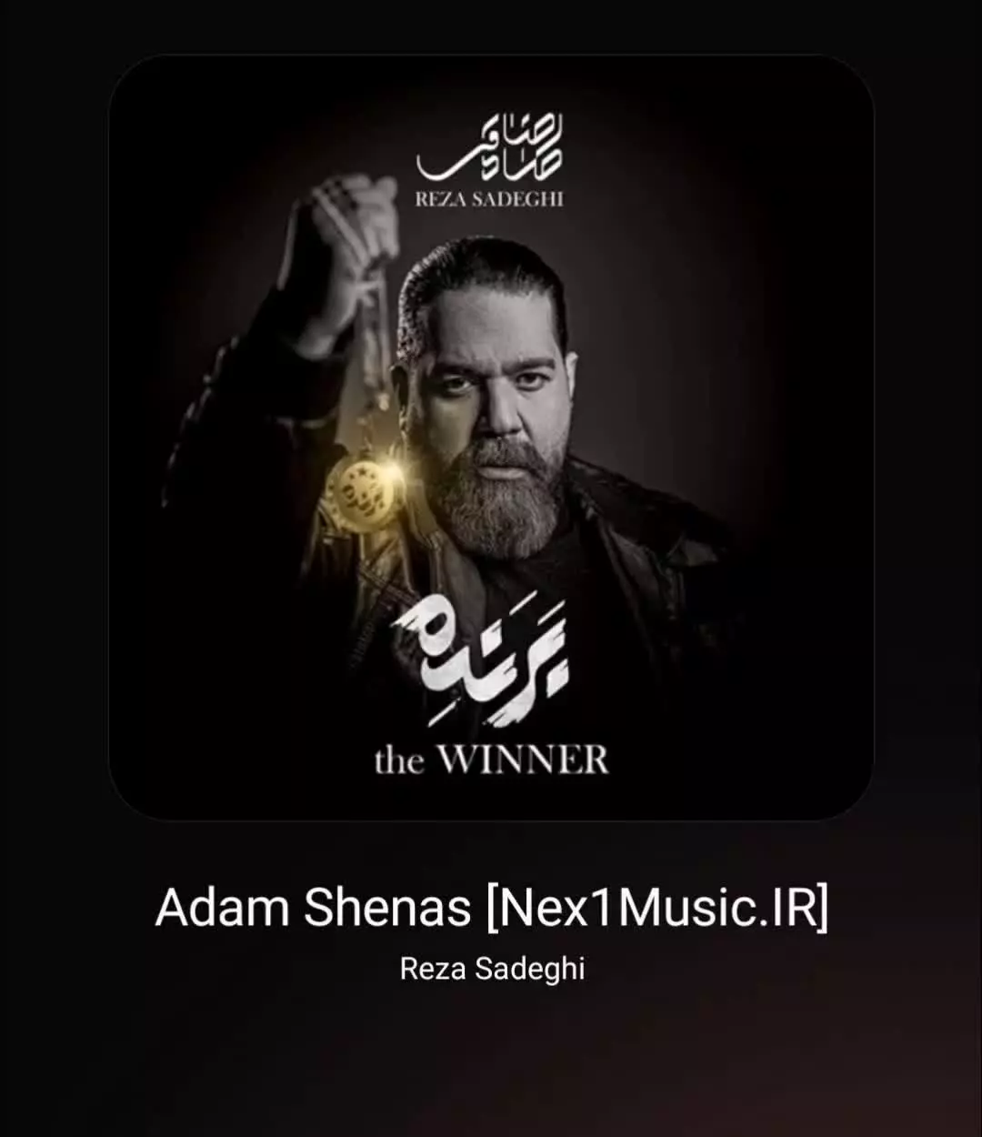 دانلود آهنگ آدم شناس از رضا صادقی