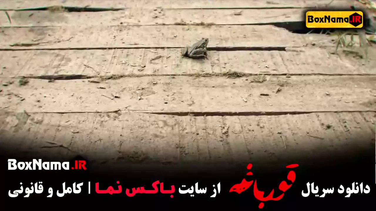 قسمت اول تا آخر سریال قورباغه (نوید محمدزاده)