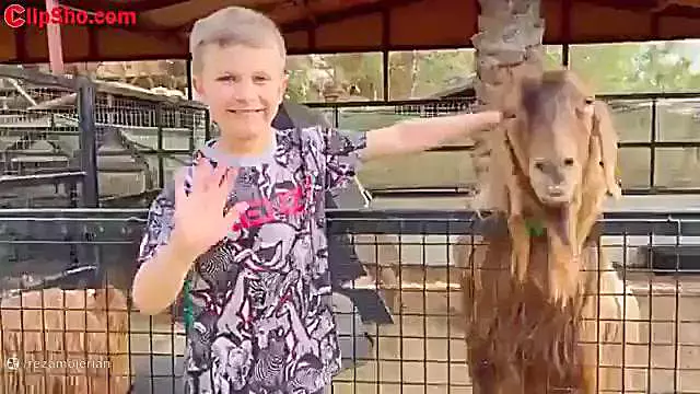 کارتون دیانا و روما: ماجراجویی در دنیای حیوانات مزرعه