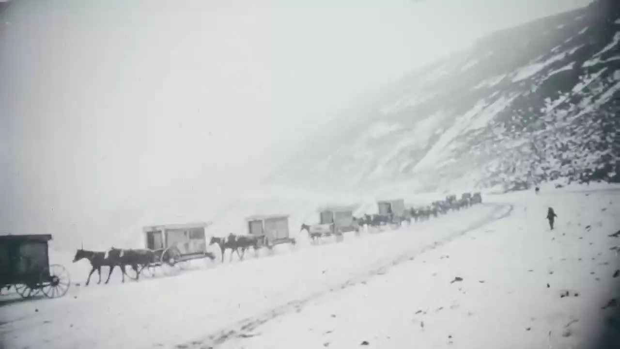 کارناوال قسمت ۲