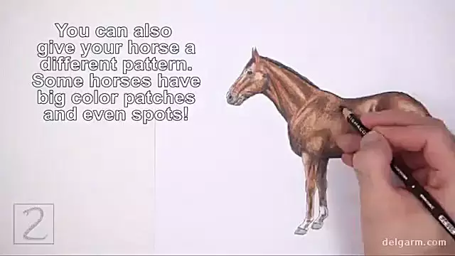 چگونه اسب‌ها را به زیبایی نقاشی کنیم؟ نکات و تکنیک‌های حرفه‌ای