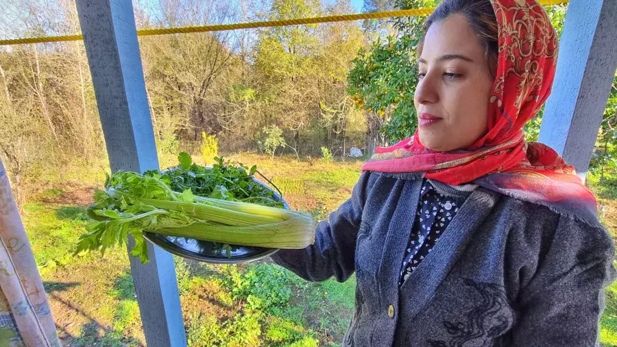 آشپزی شمال ایران: طرز تهیه خورشت کرفس که عاشقش می‌شوید!