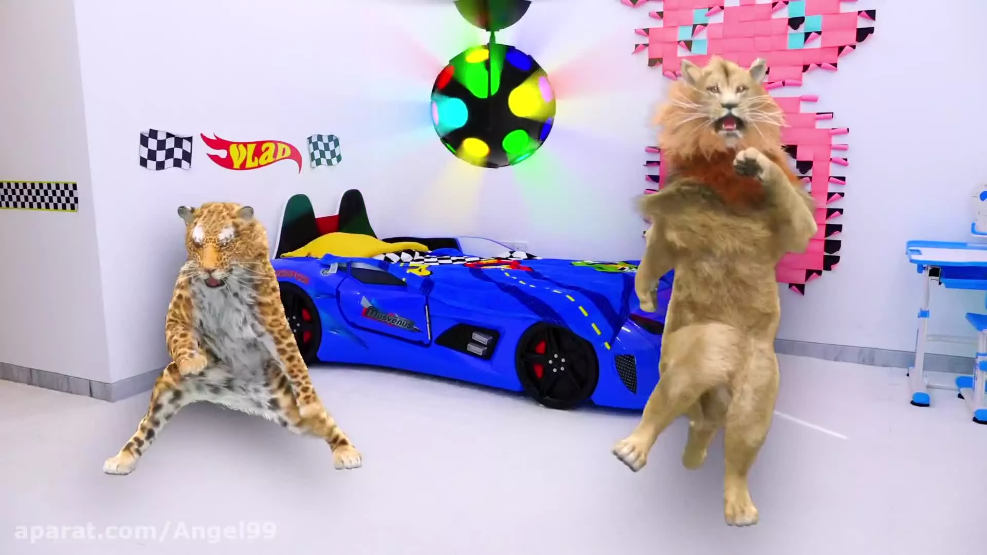 ماجراهای ولاد و نیکی - کریس واقعاً دوست دارد بچه گربه داشته باشد - نیکی