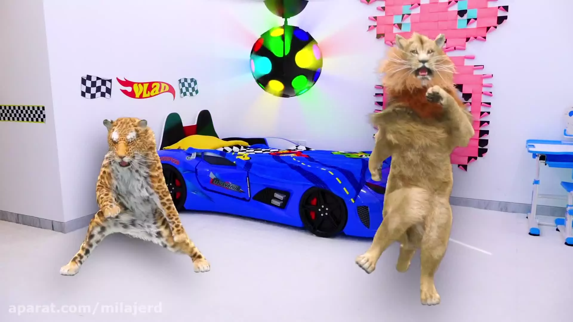 ولاد و نیکی - وقتی کریس کوچک دوست دارد بچه گربه داشته باشد