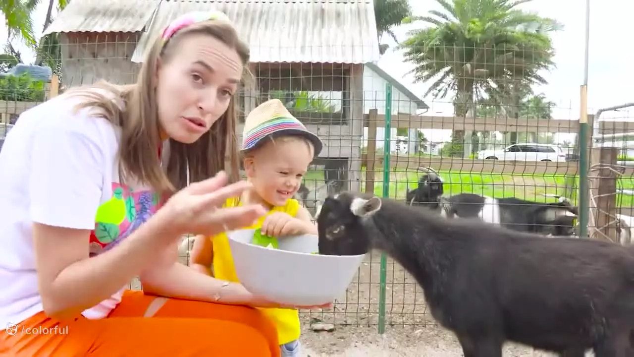 ولاد , کودک ولاد و نیکی , چالش اسباب بازی , ولادو نیکی جدید , سرگرمی کارتون ولاد