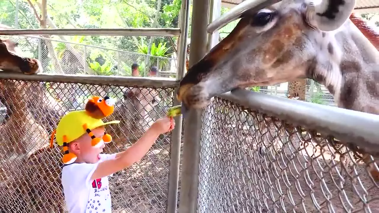 موتورسواری با ولاد و نیکی: یک سفر پرهیجان و سرگرم‌کننده!