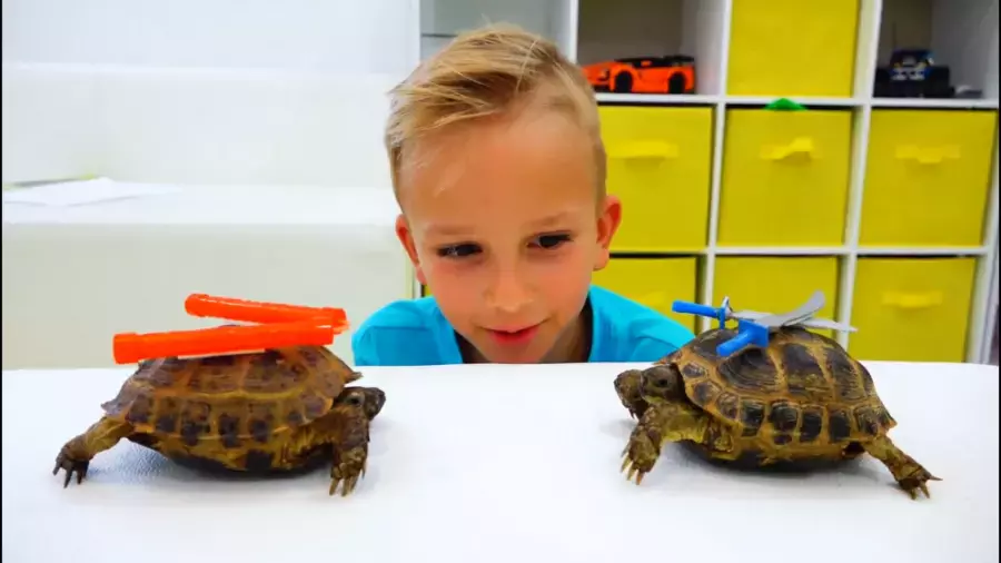 برنامه کودک ولاد و نیکی : داستان های لاک پشت های نینجا واقعی