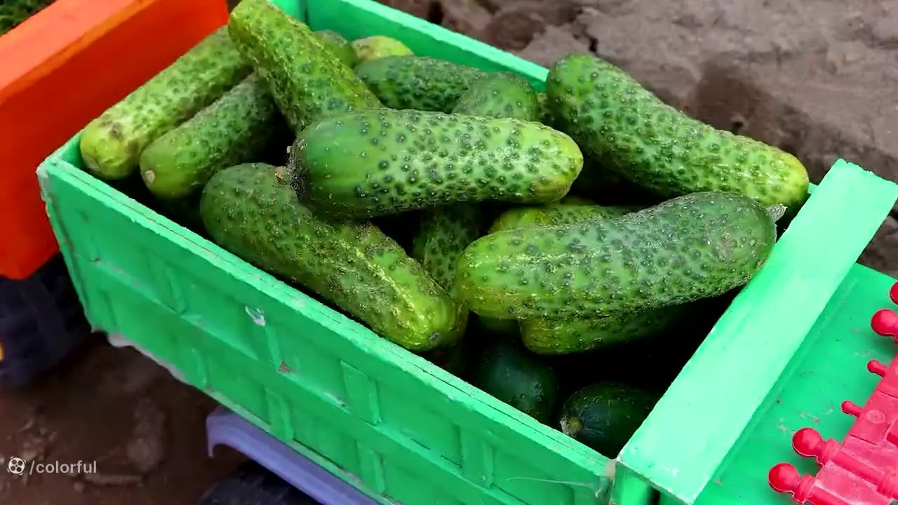 ماشین بازی - فیلم ماشین بازی - ماشین پلیس - سرگرمی کودک ماشین بازی