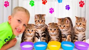 ماجراجویی‌های خنده دار ولاد و نیکی با حیوانات خانگی!