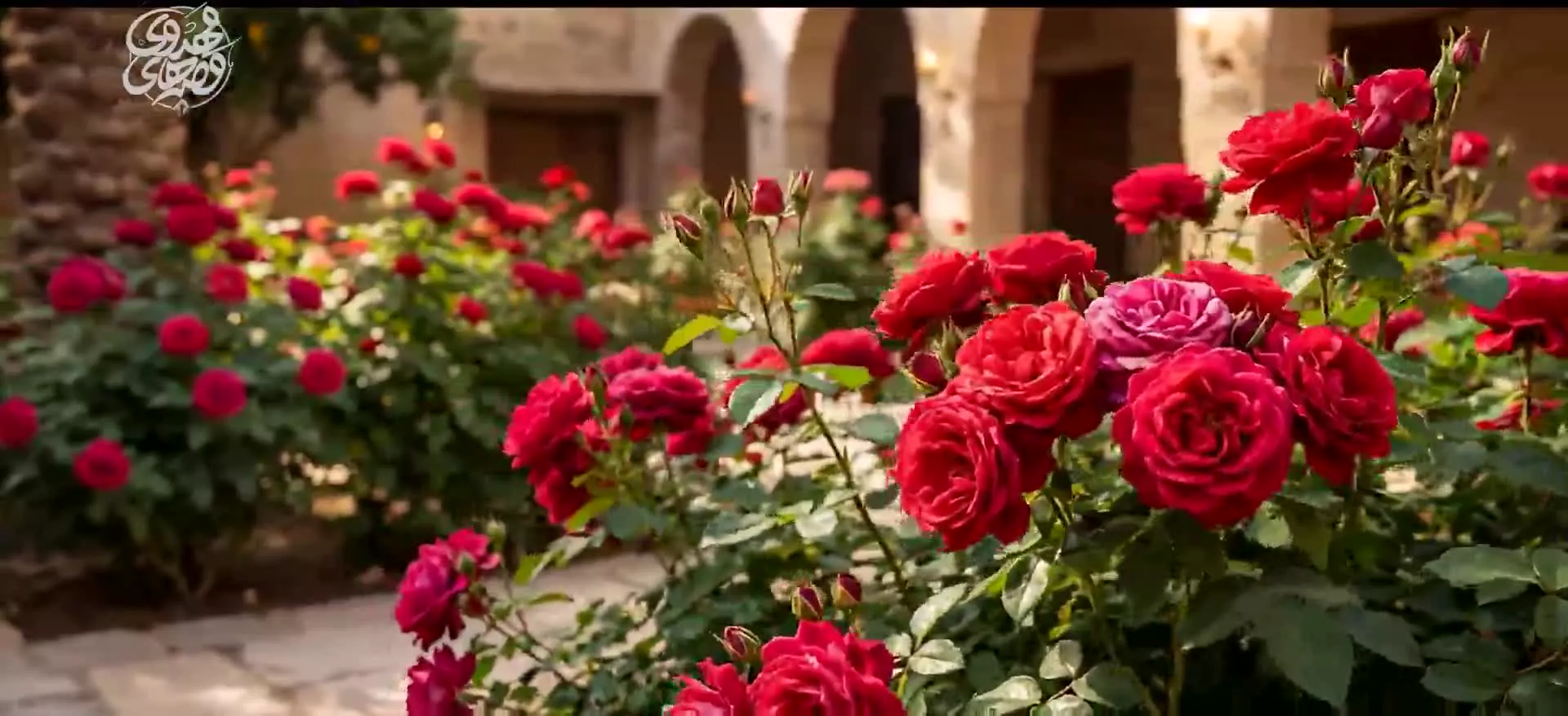 آخرین عروس: قسمت چهارم