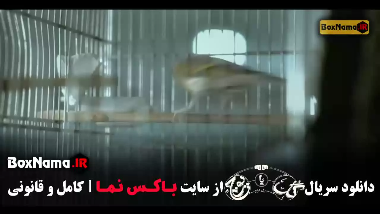 گل یا پوچ فصل 2 قسمت 6