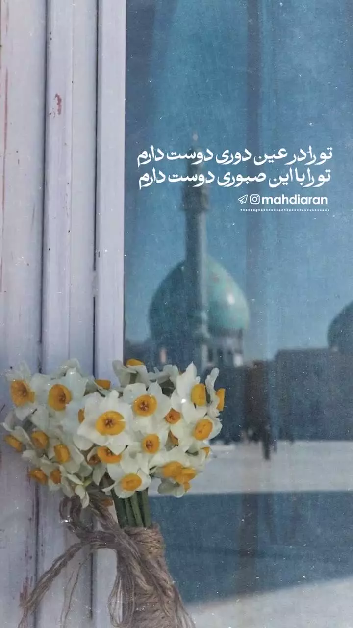 ❣️ تو را در عین دوری دوست دارم