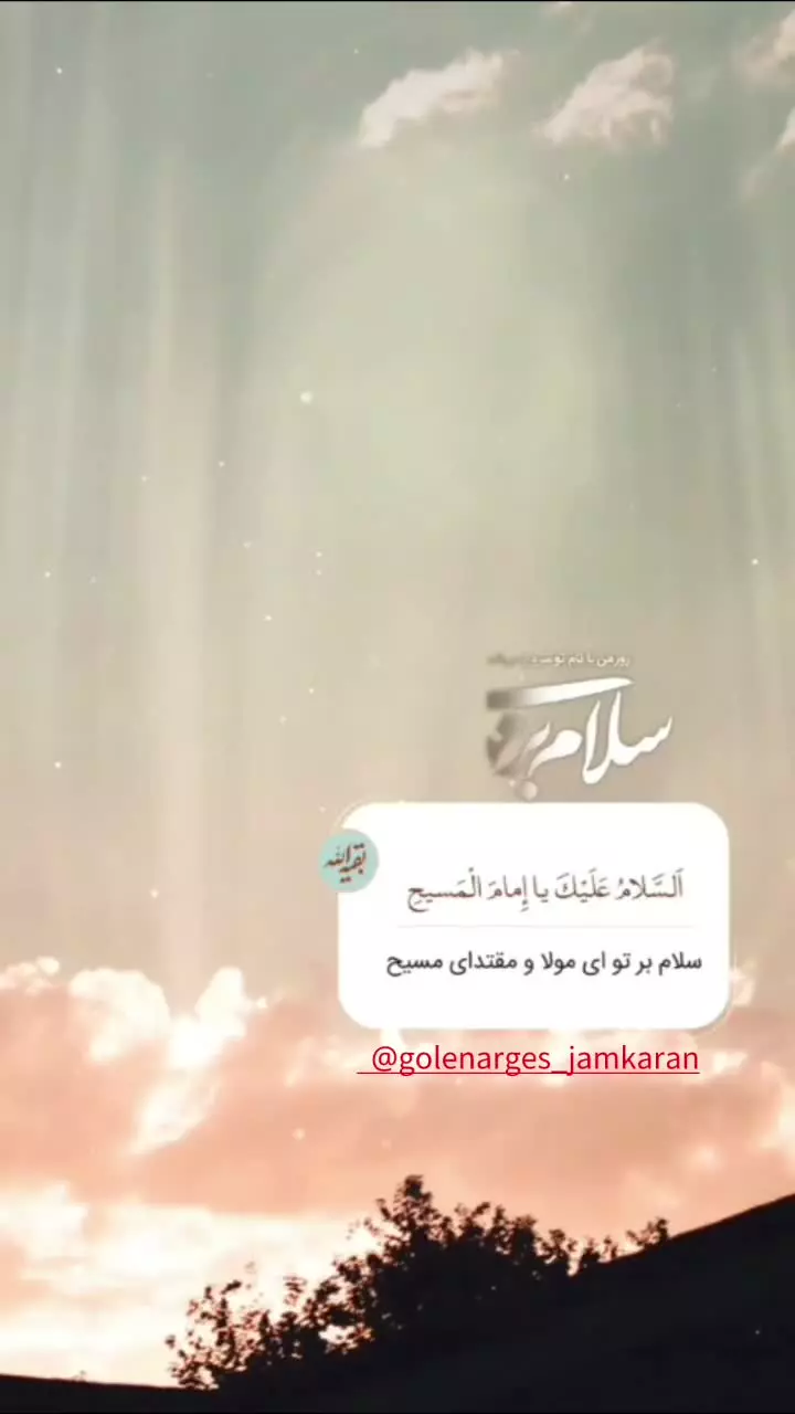 سلام بر تو ای مولای و مقتدای مسیح ...