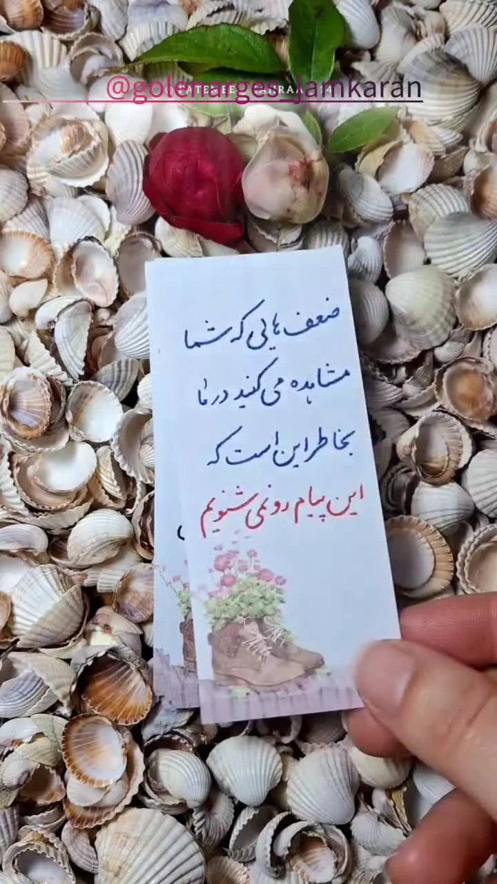 🥀شهدا تا هستند با تن خودشون دفاع می کنند.