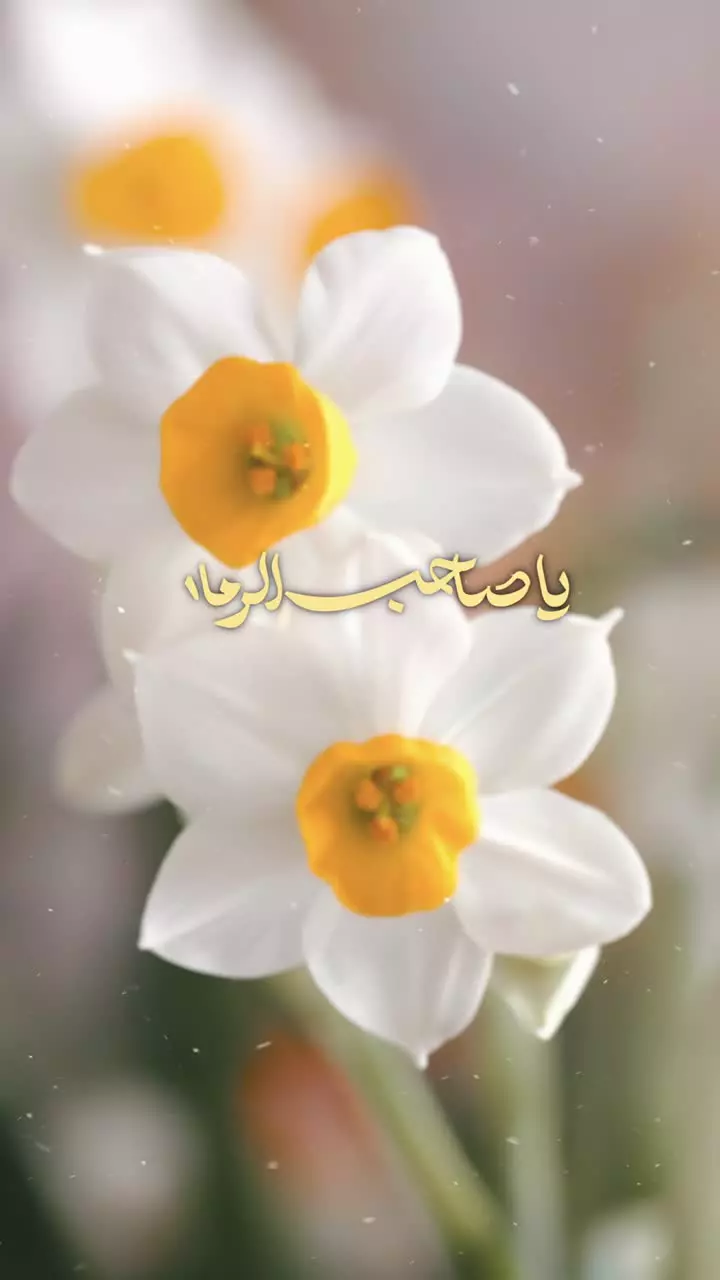 🌸 ای در این حادثه‌ها، نام تو آرامش من...