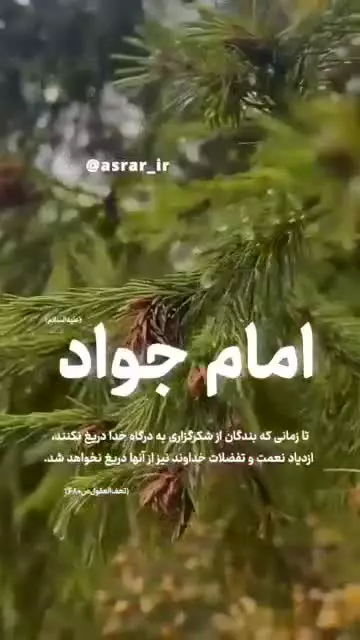 امام جواد (علیه السلام) :  ✍️ تا زمانی که بندگان از شکرگزاری