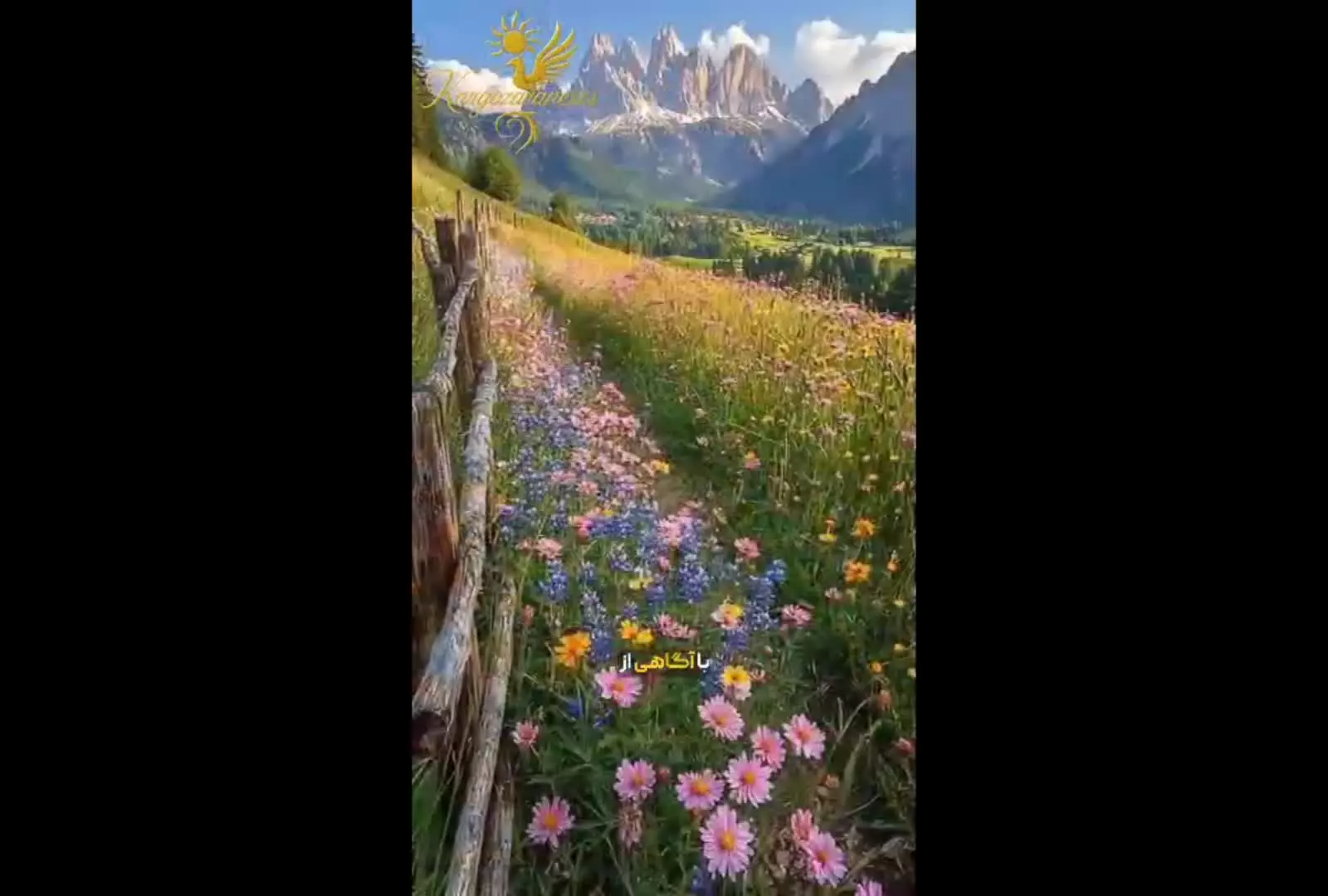 هیپنوتراپی pqht